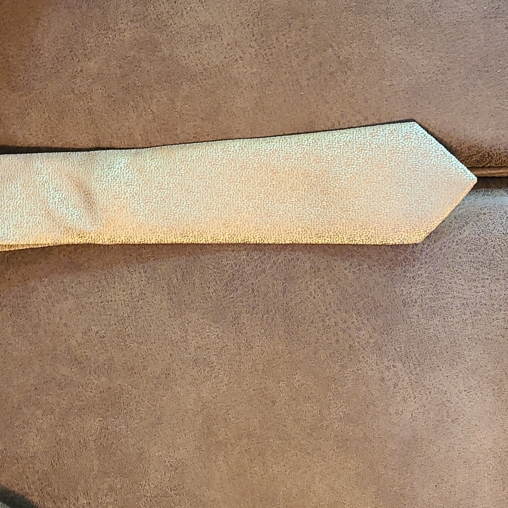 Beige tie, NWOT